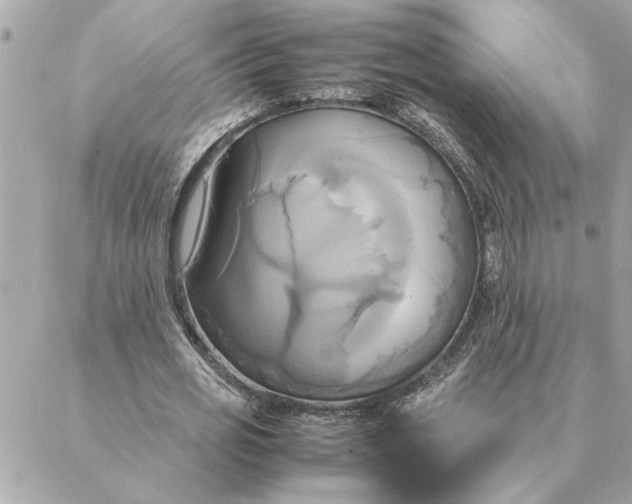 X0000088210725200706051256