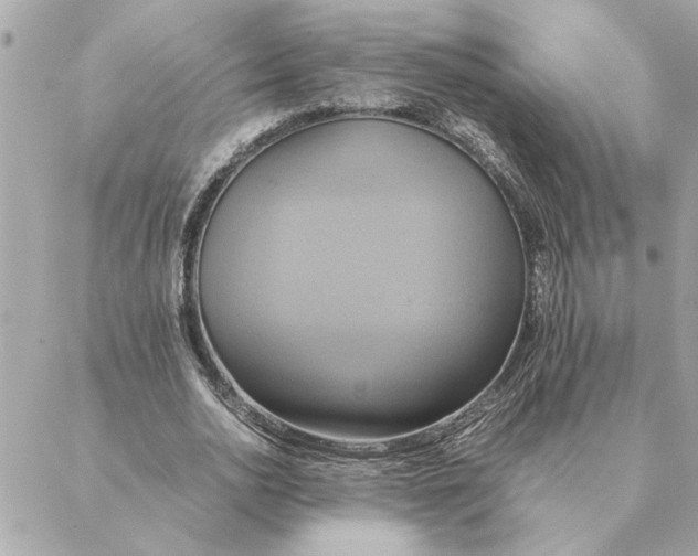 X0000088210726200706051256