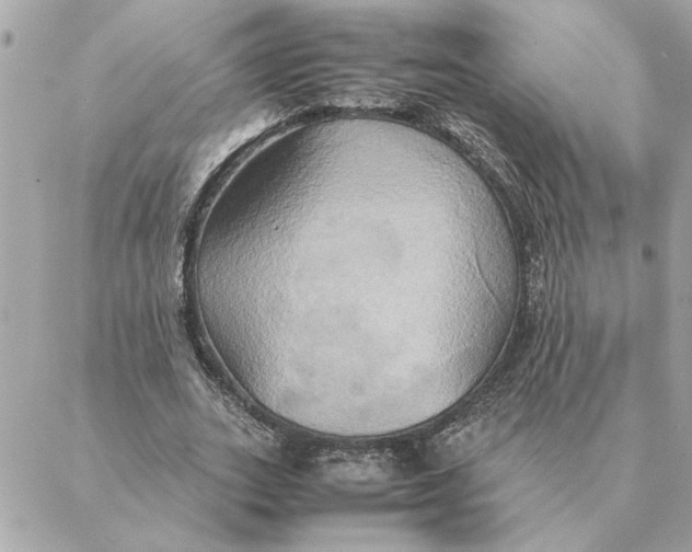 X0000088210727200706051256