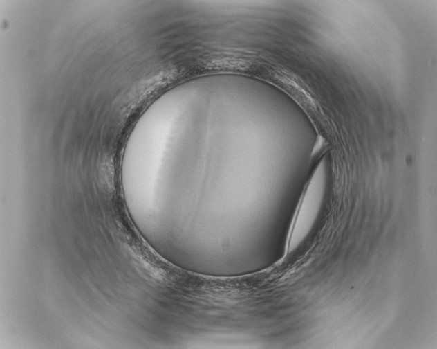 X0000088210729200706051256