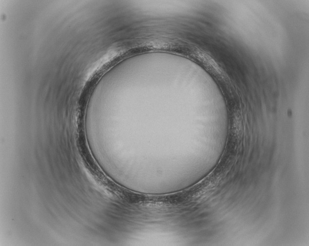 X0000088210730200706051256