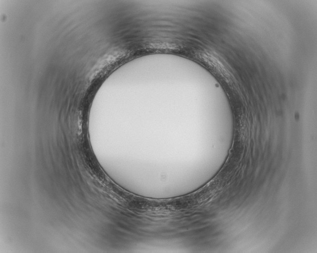 X0000088210731200706051256