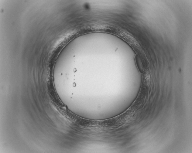 X0000088210732200706051256