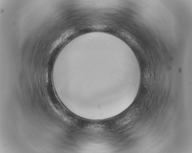 X0000088210734200706051256