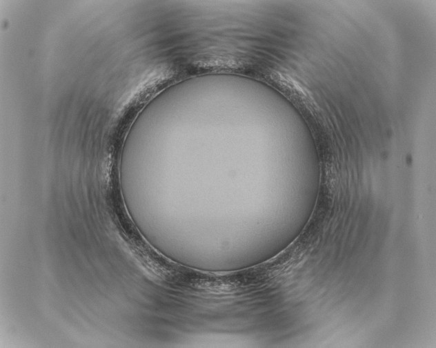 X0000088210735200706051256