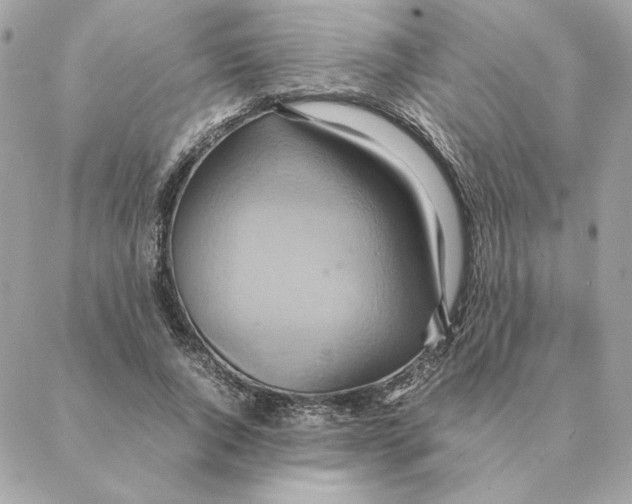 X0000088210736200706051256