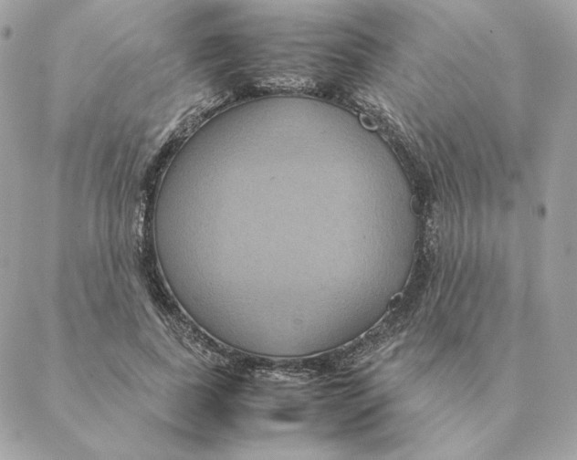 X0000088210739200706051256