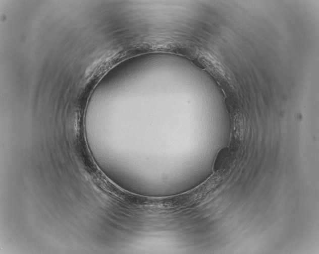 X0000088210740200706051256