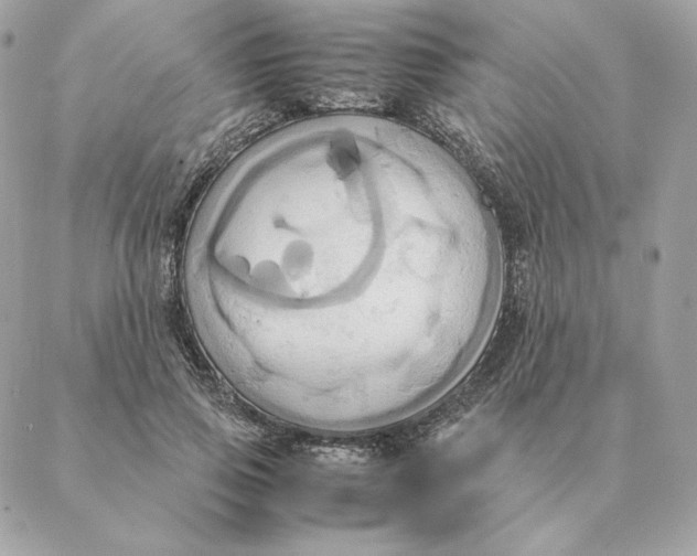 X0000088210741200706051256