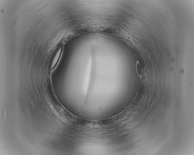 X0000088210742200706051256