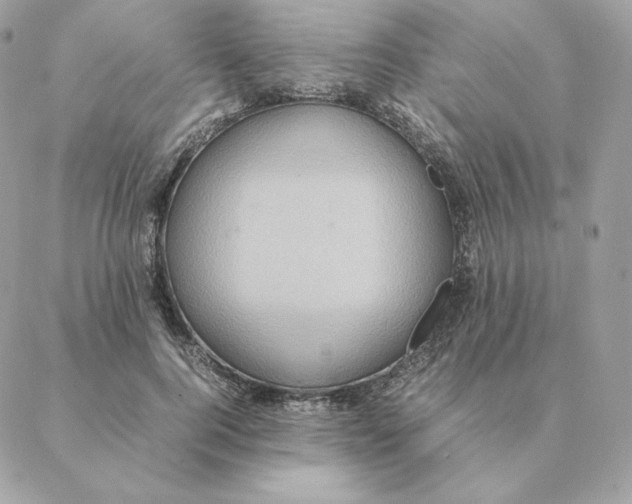 X0000088210744200706051256