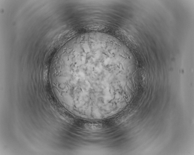 X0000088210745200706051256