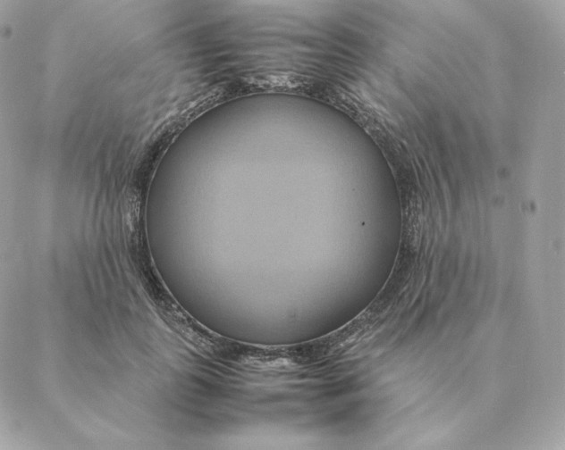 X0000088210747200706051256