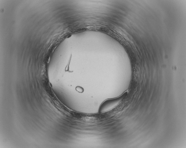 X0000088210748200706051256