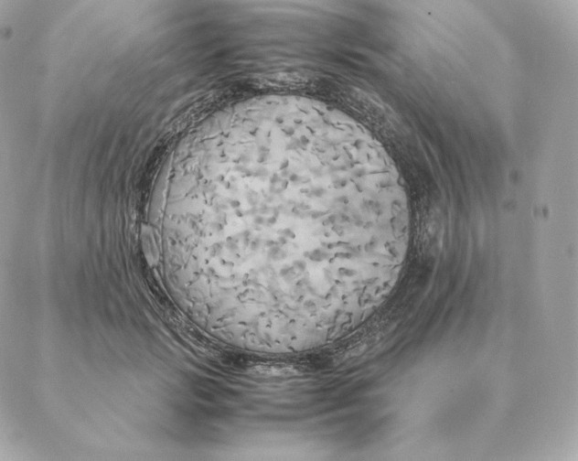 X0000088210749200706051256