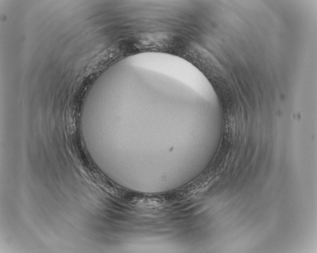 X0000088210751200706051256