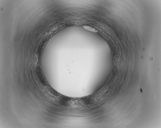 X0000088210752200706051256