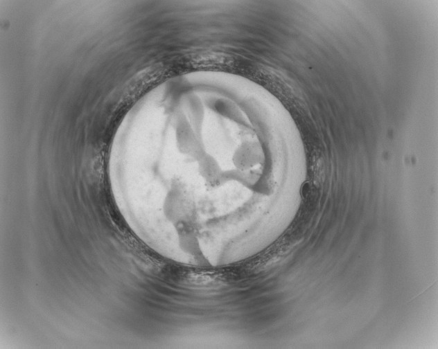 X0000088210753200706051256