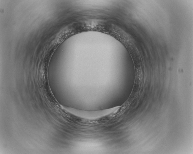 X0000088210754200706051256