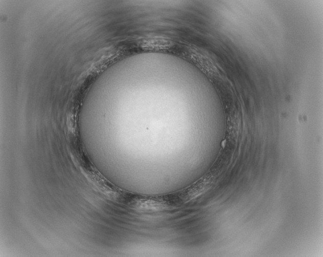 X0000088210755200706051256