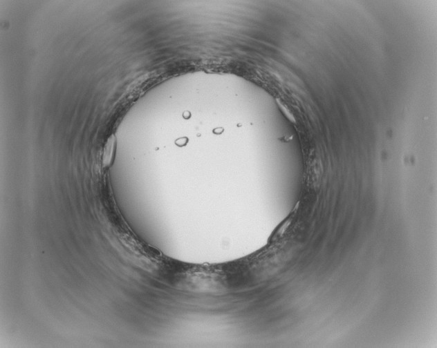 X0000088210756200706051256