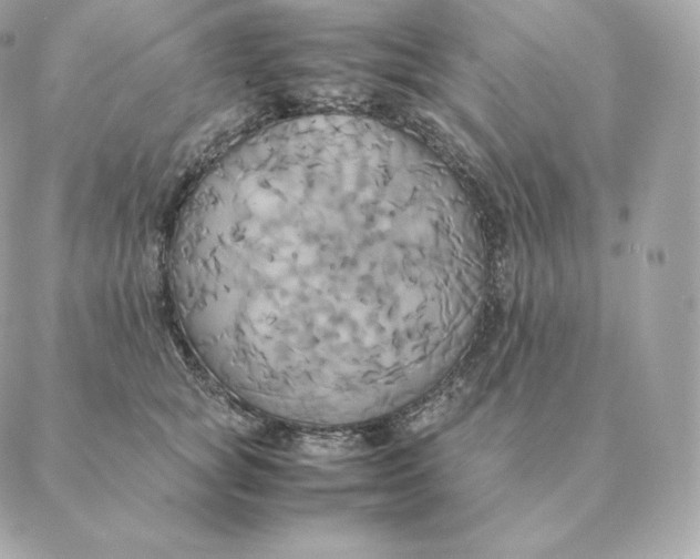 X0000088210757200706051257