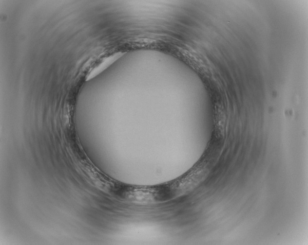 X0000088210758200706051257