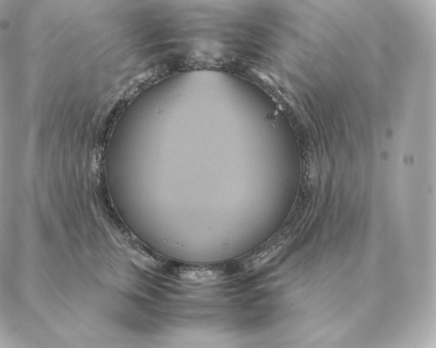 X0000088210759200706051257