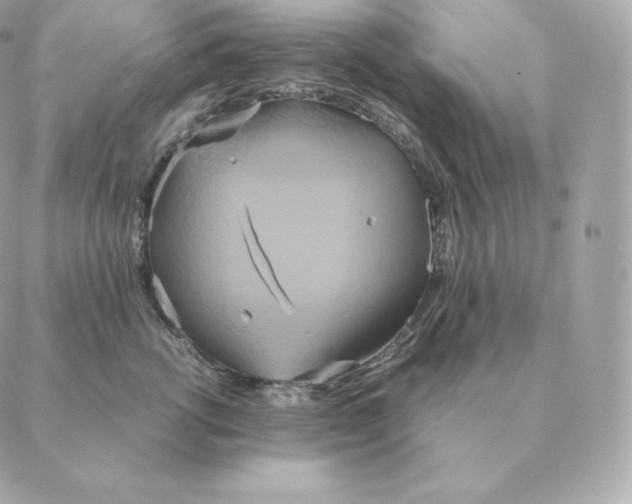 X0000088210762200706051257