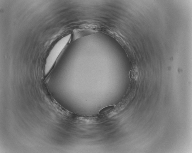 X0000088210763200706051257