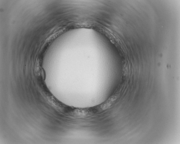 X0000088210764200706051257