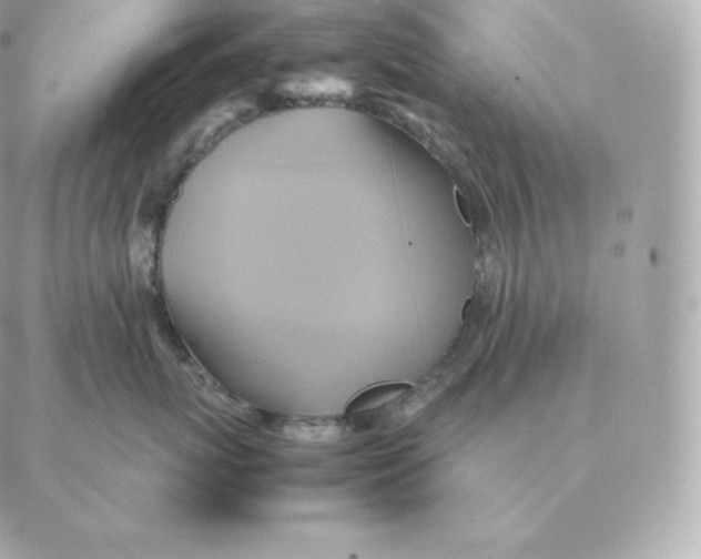 X0000088210767200706051257