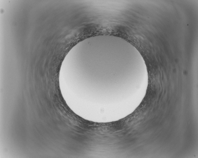 X0000088210769200706051256