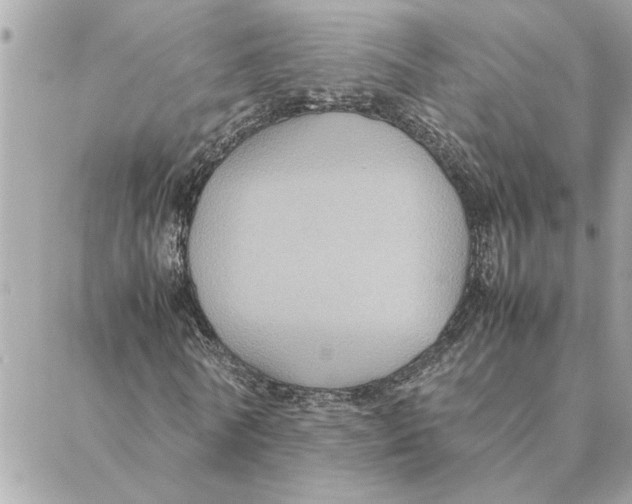 X0000088210770200706051256