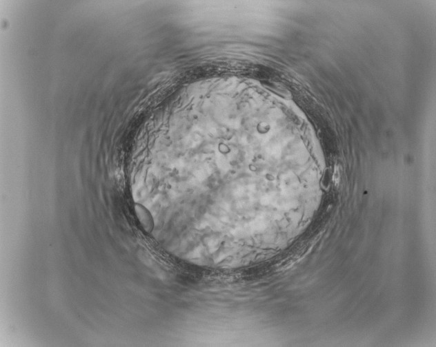 X0000088210771200706051256