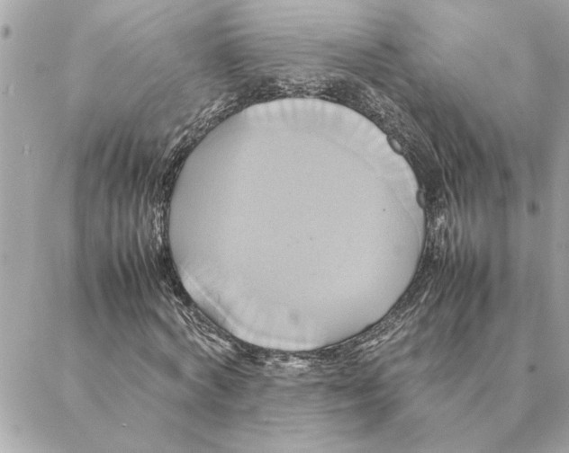 X0000088210772200706051256