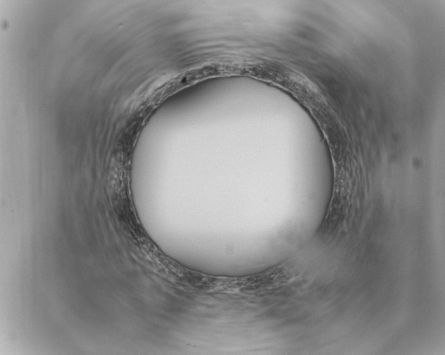 X0000088210773200706051256