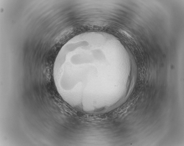 X0000088210774200706051256