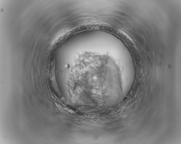 X0000088210775200706051256