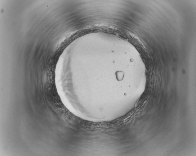 X0000088210776200706051256