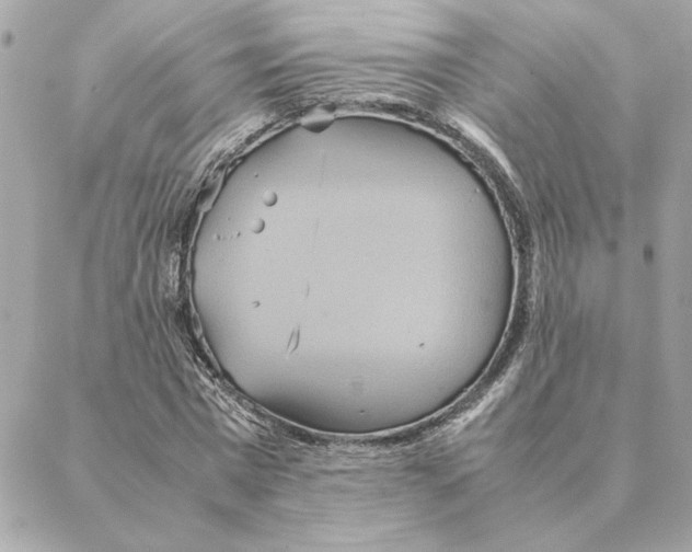 X0000088210777200706051256