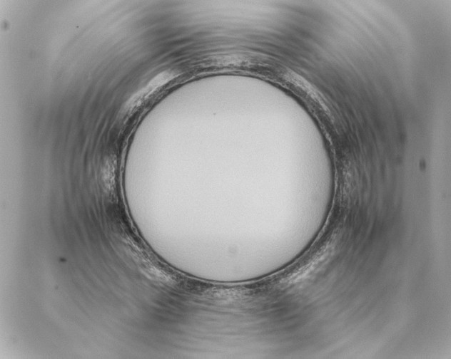 X0000088210778200706051256