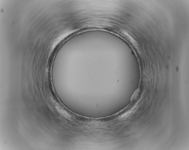 X0000088210779200706051256