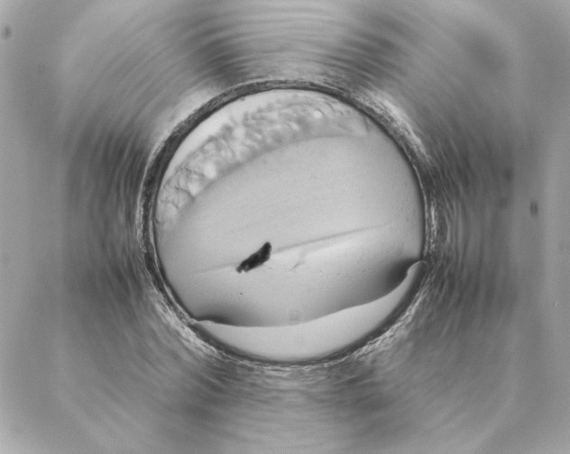 X0000088210780200706051256