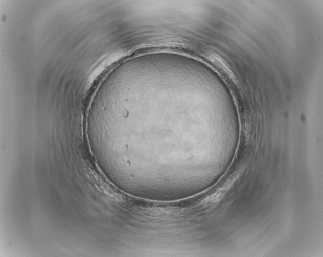 X0000088210781200706051256