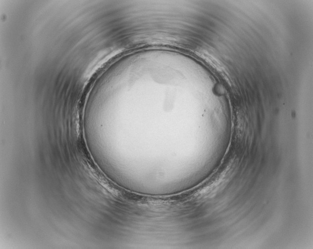 X0000088210782200706051256