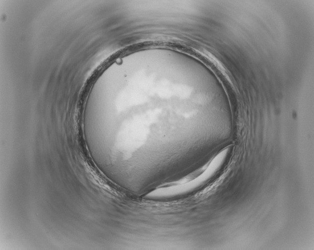 X0000088210783200706051256