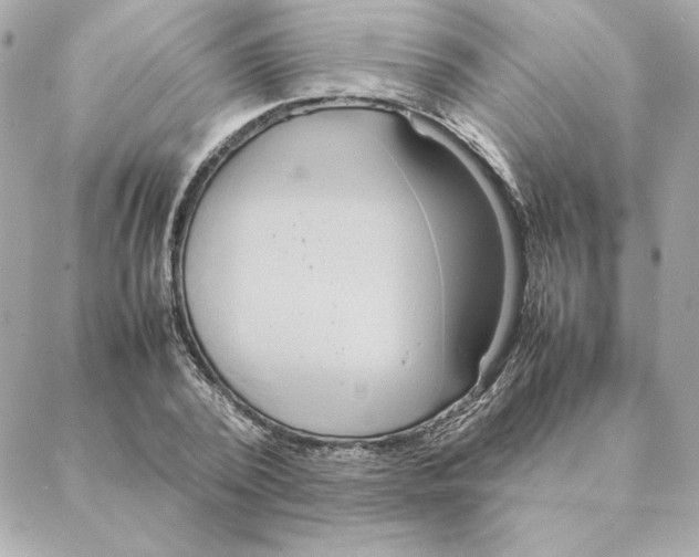 X0000088210784200706051256