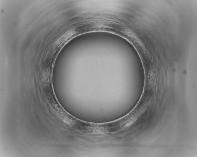 X0000088210785200706051256