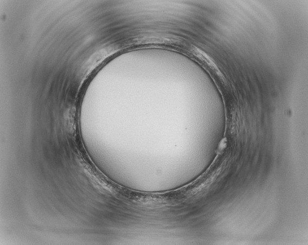 X0000088210786200706051256